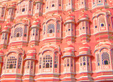 JAIPUR PINKS